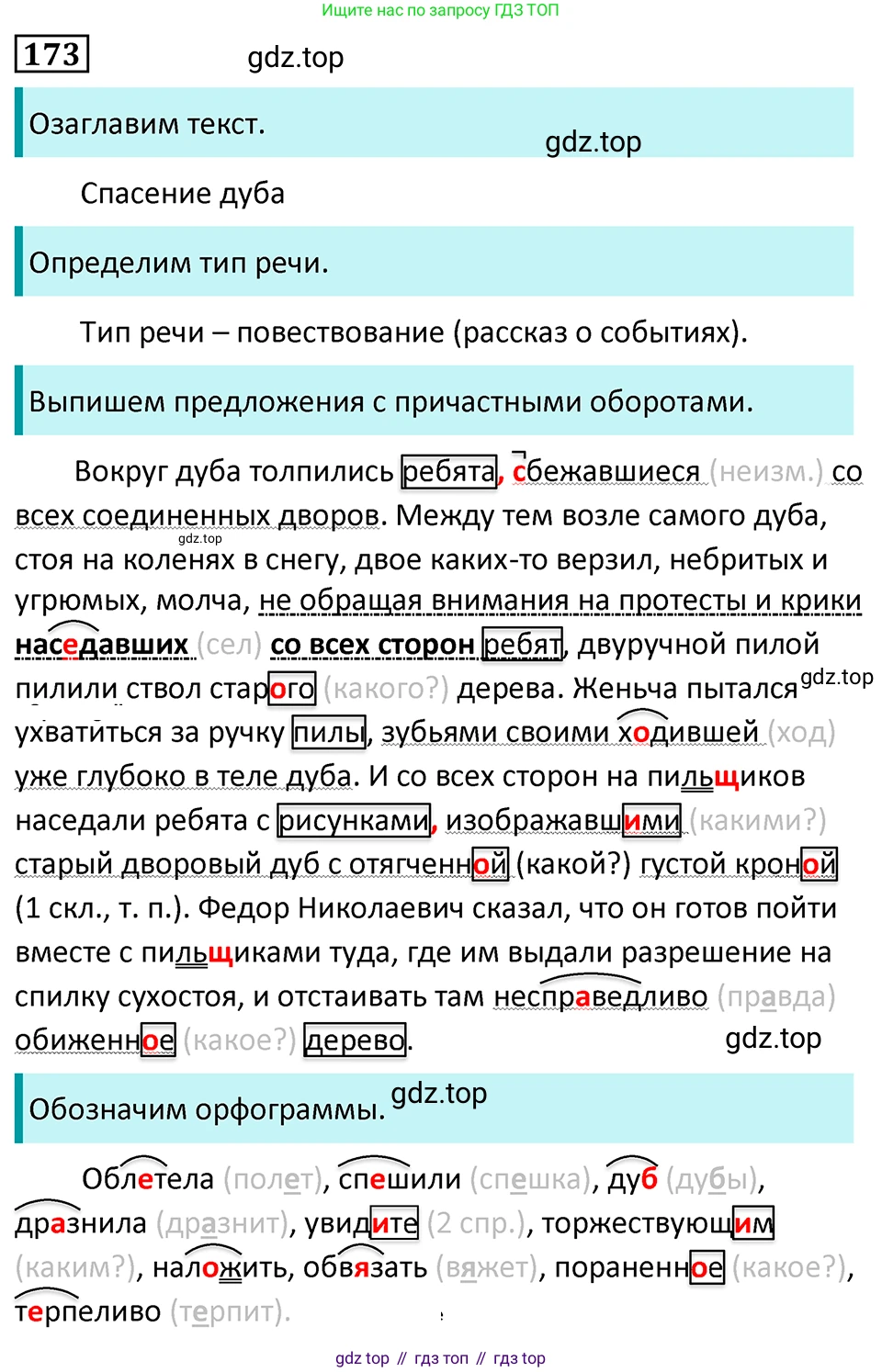 Русский язык, 7 класс Учебник, авторы: Баранов Михаил Трофимович, Ладыженская Таиса Алексеевна, Тростенцова Лидия Александровна, Ладыженская Наталия Вениаминовна, Александрова Ольга Макаровна, Дейкина Алевтина Дмитриевна, Антонова Любовь Геннадиевна, Григорян Лариса Трофимовна, Кулибаба Иван Иванович, издательство Просвещение, Москва, 2023, зелёного цвета, Часть 1, страница 99, номер 173, Решение 5 (2024-2027)