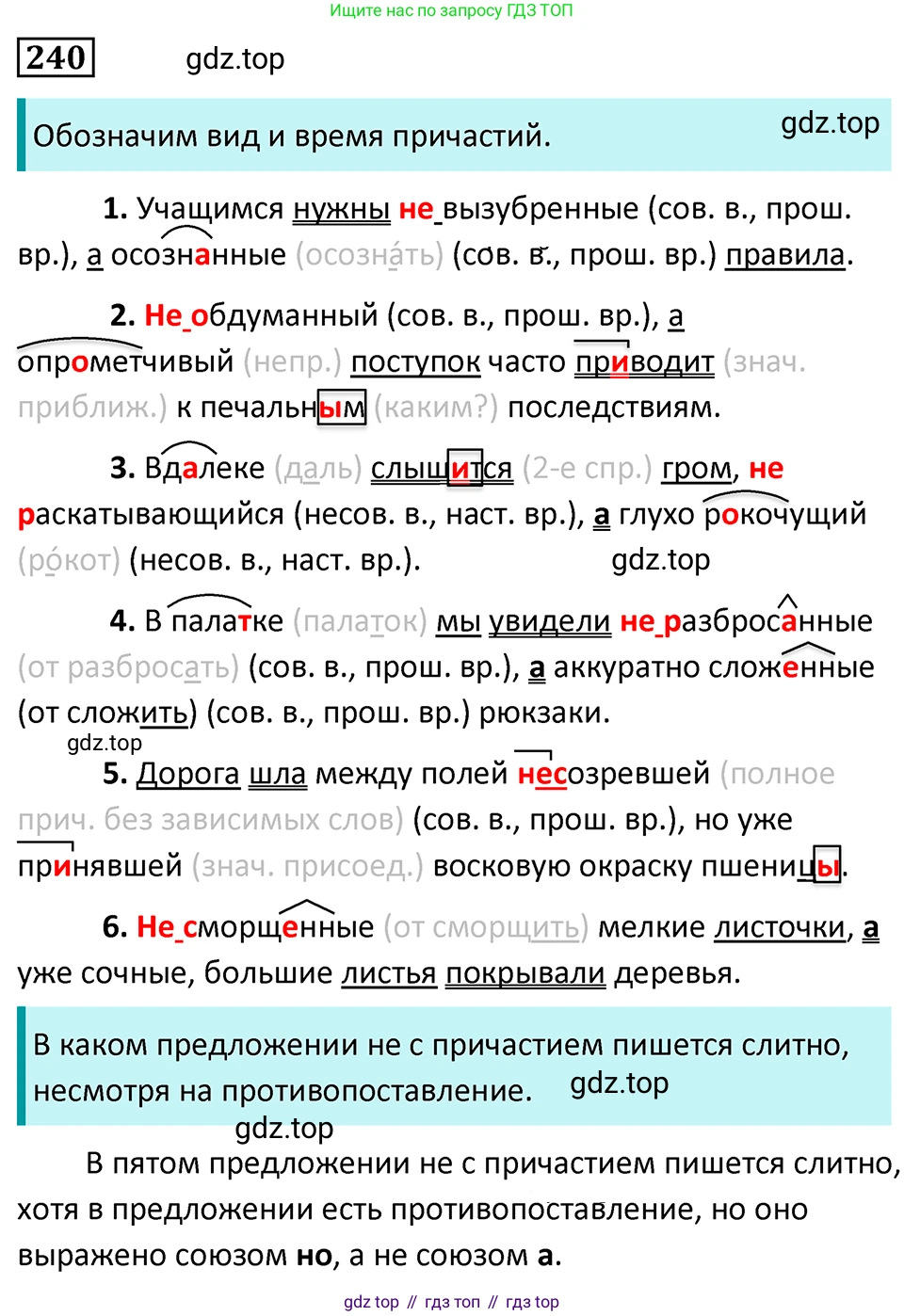Русский язык, 7 класс Учебник, авторы: Баранов Михаил Трофимович, Ладыженская Таиса Алексеевна, Тростенцова Лидия Александровна, Ладыженская Наталия Вениаминовна, Александрова Ольга Макаровна, Дейкина Алевтина Дмитриевна, Антонова Любовь Геннадиевна, Григорян Лариса Трофимовна, Кулибаба Иван Иванович, издательство Просвещение, Москва, 2023, зелёного цвета, Часть 1, страница 142, номер 240, Решение 5 (2024-2027)