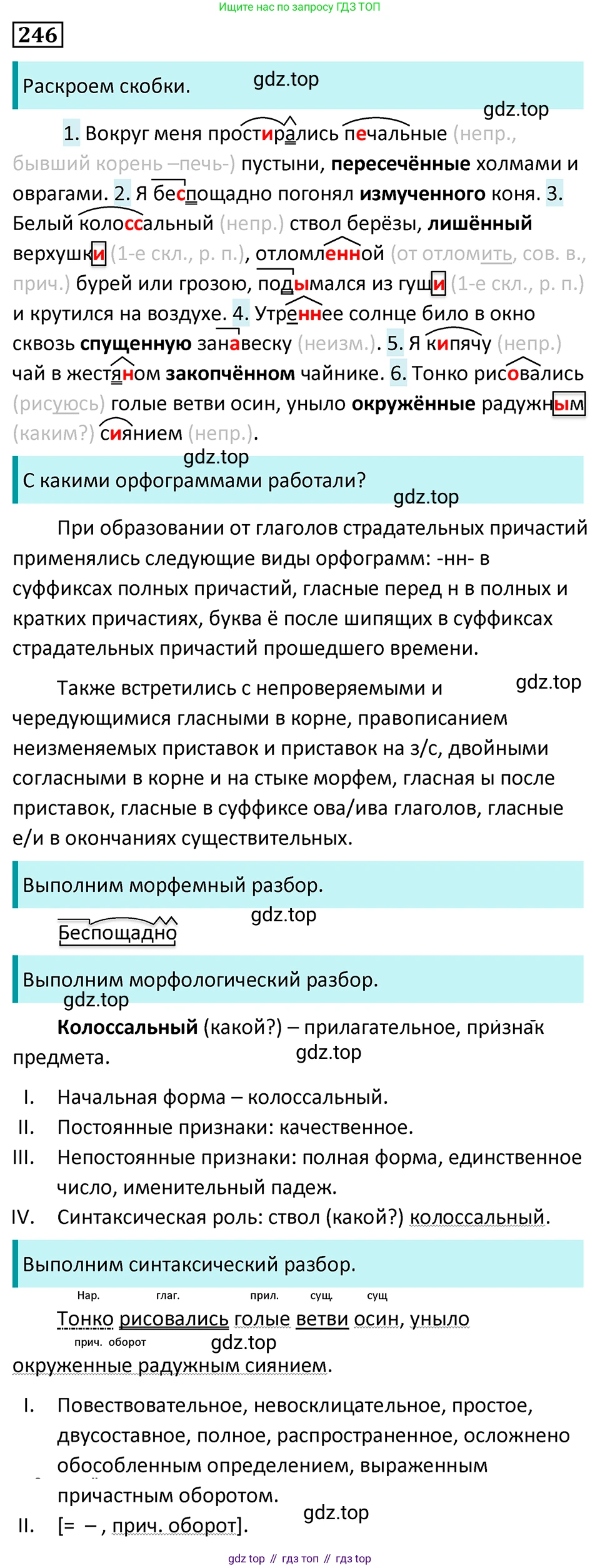 Русский язык, 7 класс Учебник, авторы: Баранов Михаил Трофимович, Ладыженская Таиса Алексеевна, Тростенцова Лидия Александровна, Ладыженская Наталия Вениаминовна, Александрова Ольга Макаровна, Дейкина Алевтина Дмитриевна, Антонова Любовь Геннадиевна, Григорян Лариса Трофимовна, Кулибаба Иван Иванович, издательство Просвещение, Москва, 2023, зелёного цвета, Часть 1, страница 145, номер 246, Решение 5 (2024-2027)