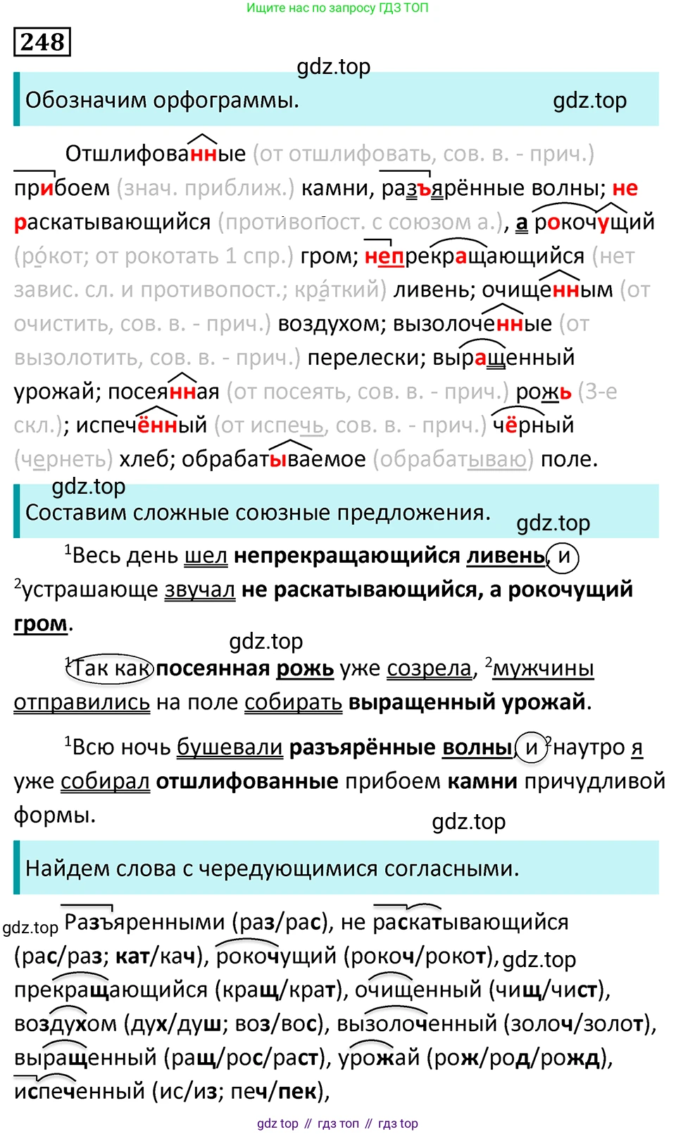 Русский язык, 7 класс Учебник, авторы: Баранов Михаил Трофимович, Ладыженская Таиса Алексеевна, Тростенцова Лидия Александровна, Ладыженская Наталия Вениаминовна, Александрова Ольга Макаровна, Дейкина Алевтина Дмитриевна, Антонова Любовь Геннадиевна, Григорян Лариса Трофимовна, Кулибаба Иван Иванович, издательство Просвещение, Москва, 2023, зелёного цвета, Часть 1, страница 146, номер 248, Решение 5 (2024-2027)