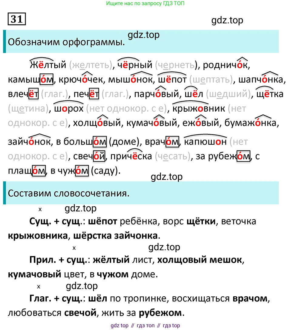 Русский язык, 7 класс Учебник, авторы: Баранов Михаил Трофимович, Ладыженская Таиса Алексеевна, Тростенцова Лидия Александровна, Ладыженская Наталия Вениаминовна, Александрова Ольга Макаровна, Дейкина Алевтина Дмитриевна, Антонова Любовь Геннадиевна, Григорян Лариса Трофимовна, Кулибаба Иван Иванович, издательство Просвещение, Москва, 2023, зелёного цвета, Часть 1, страница 20, номер 31, Решение 5 (2024-2027)