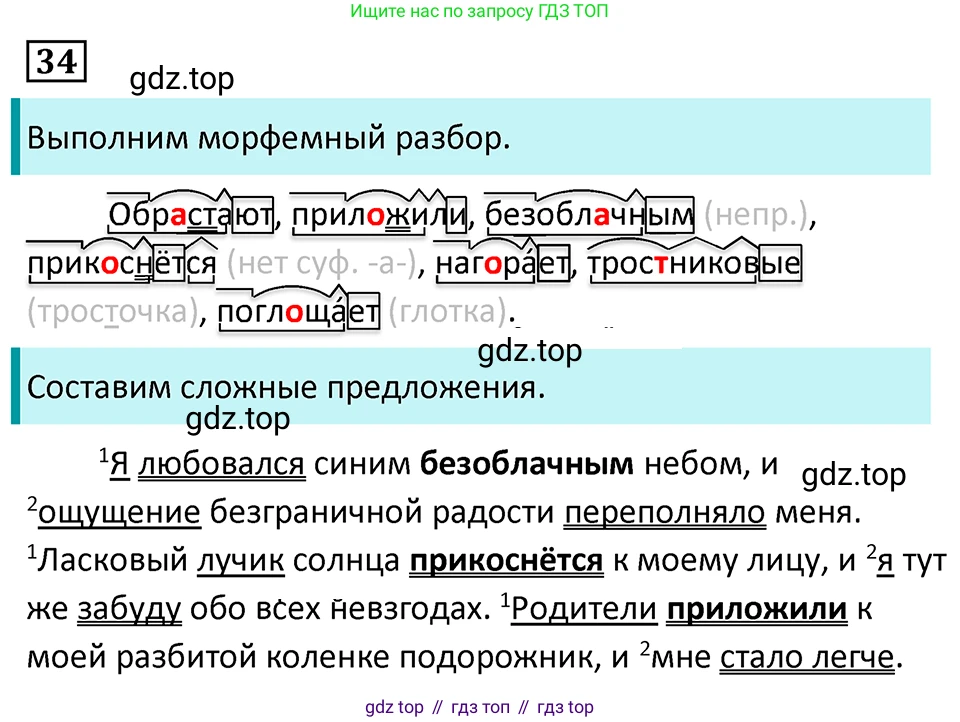 Русский язык, 7 класс Учебник, авторы: Баранов Михаил Трофимович, Ладыженская Таиса Алексеевна, Тростенцова Лидия Александровна, Ладыженская Наталия Вениаминовна, Александрова Ольга Макаровна, Дейкина Алевтина Дмитриевна, Антонова Любовь Геннадиевна, Григорян Лариса Трофимовна, Кулибаба Иван Иванович, издательство Просвещение, Москва, 2023, зелёного цвета, Часть 1, страница 22, номер 34, Решение 5 (2024-2027)