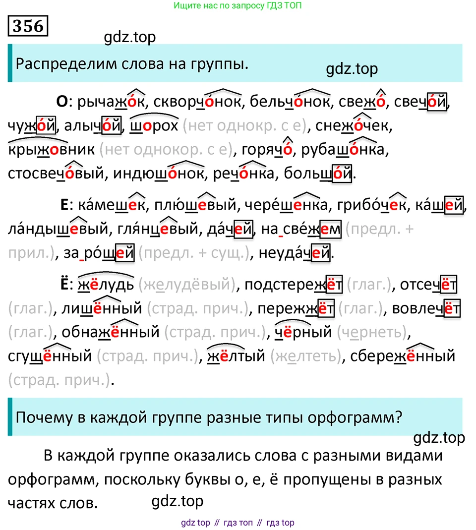 Русский язык, 7 класс Учебник, авторы: Баранов Михаил Трофимович, Ладыженская Таиса Алексеевна, Тростенцова Лидия Александровна, Ладыженская Наталия Вениаминовна, Александрова Ольга Макаровна, Дейкина Алевтина Дмитриевна, Антонова Любовь Геннадиевна, Григорян Лариса Трофимовна, Кулибаба Иван Иванович, издательство Просвещение, Москва, 2023, зелёного цвета, Часть 1, страница 205, номер 356, Решение 5 (2024-2027)