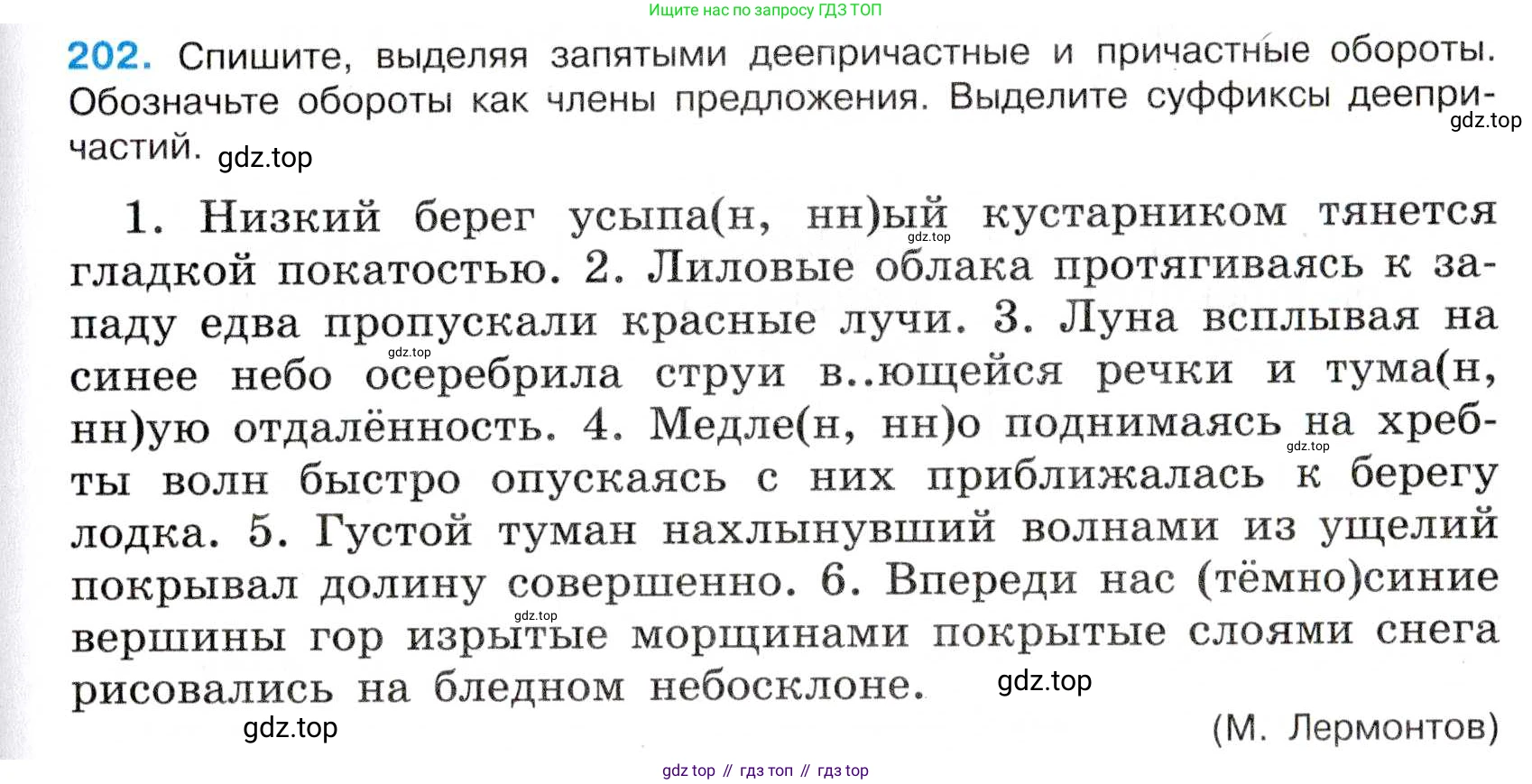 Русский язык, 7 класс Учебник, авторы: Баранов Михаил Трофимович, Ладыженская Таиса Алексеевна, Тростенцова Лидия Александровна, Ладыженская Наталия Вениаминовна, Александрова Ольга Макаровна, Дейкина Алевтина Дмитриевна, Антонова Любовь Геннадиевна, Григорян Лариса Трофимовна, Кулибаба Иван Иванович, издательство Просвещение, Москва, 2023, зелёного цвета, Часть 1, страница 117, номер 202, Условие 2019-2022