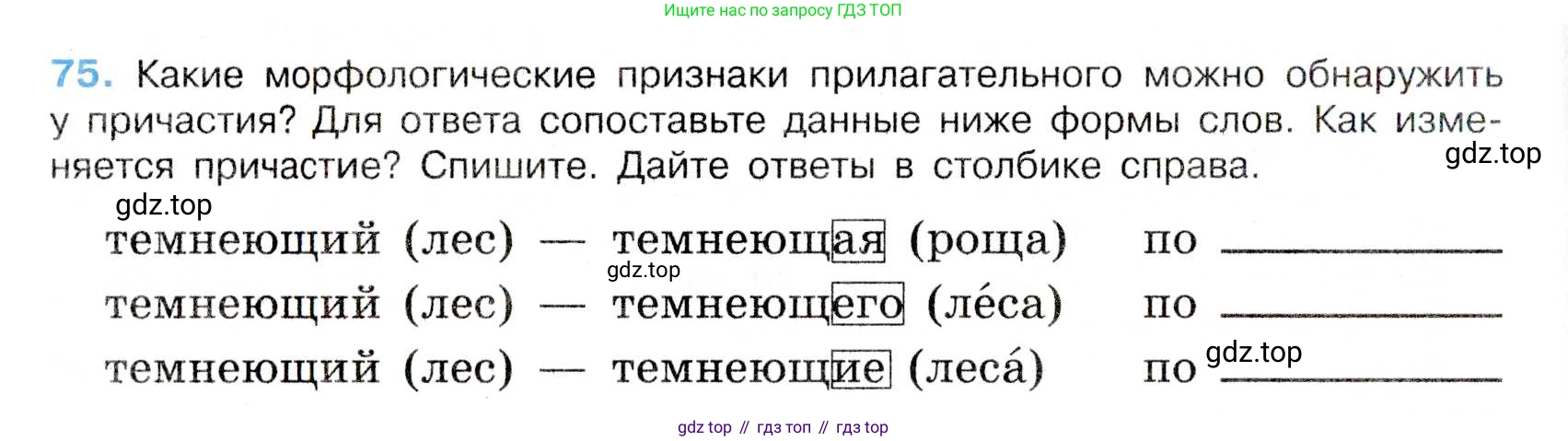 Русский язык, 7 класс Учебник, авторы: Баранов Михаил Трофимович, Ладыженская Таиса Алексеевна, Тростенцова Лидия Александровна, Ладыженская Наталия Вениаминовна, Александрова Ольга Макаровна, Дейкина Алевтина Дмитриевна, Антонова Любовь Геннадиевна, Григорян Лариса Трофимовна, Кулибаба Иван Иванович, издательство Просвещение, Москва, 2023, зелёного цвета, Часть 1, страница 41, номер 75, Условие 2019-2022