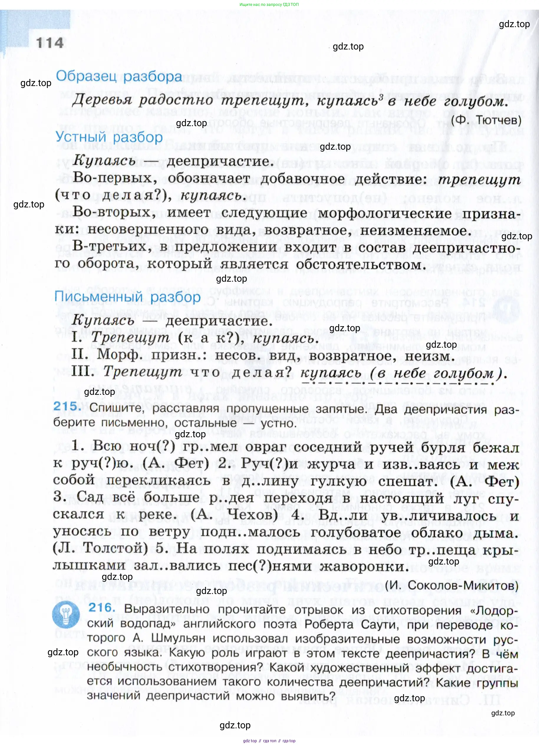 Русский язык, 7 класс Учебник, авторы: Баранов Михаил Трофимович, Ладыженская Таиса Алексеевна, Тростенцова Лидия Александровна, Ладыженская Наталия Вениаминовна, Александрова Ольга Макаровна, Дейкина Алевтина Дмитриевна, Антонова Любовь Геннадиевна, Григорян Лариса Трофимовна, Кулибаба Иван Иванович, издательство Просвещение, Москва, 2023, зелёного цвета, Часть 1, страница 114