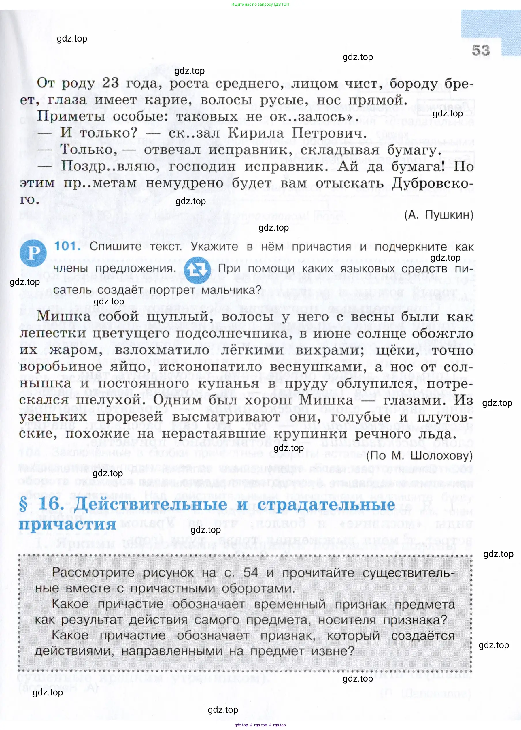 Русский язык, 7 класс Учебник, авторы: Баранов Михаил Трофимович, Ладыженская Таиса Алексеевна, Тростенцова Лидия Александровна, Ладыженская Наталия Вениаминовна, Александрова Ольга Макаровна, Дейкина Алевтина Дмитриевна, Антонова Любовь Геннадиевна, Григорян Лариса Трофимовна, Кулибаба Иван Иванович, издательство Просвещение, Москва, 2023, зелёного цвета, Часть 1, страница 53