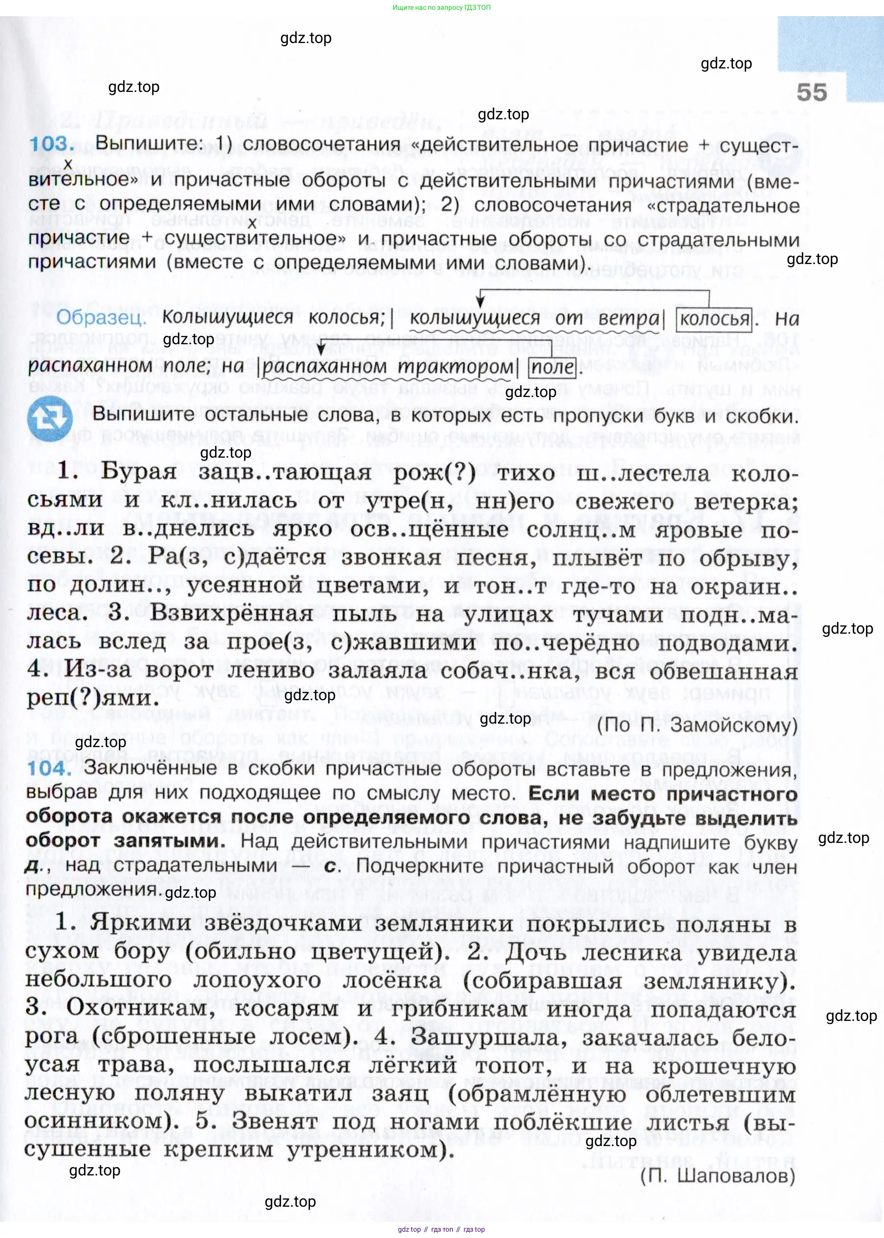 Русский язык, 7 класс Учебник, авторы: Баранов Михаил Трофимович, Ладыженская Таиса Алексеевна, Тростенцова Лидия Александровна, Ладыженская Наталия Вениаминовна, Александрова Ольга Макаровна, Дейкина Алевтина Дмитриевна, Антонова Любовь Геннадиевна, Григорян Лариса Трофимовна, Кулибаба Иван Иванович, издательство Просвещение, Москва, 2023, зелёного цвета, Часть 1, страница 55