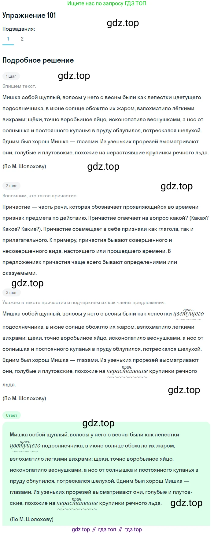 Русский язык, 7 класс Учебник, авторы: Баранов Михаил Трофимович, Ладыженская Таиса Алексеевна, Тростенцова Лидия Александровна, Ладыженская Наталия Вениаминовна, Александрова Ольга Макаровна, Дейкина Алевтина Дмитриевна, Антонова Любовь Геннадиевна, Григорян Лариса Трофимовна, Кулибаба Иван Иванович, издательство Просвещение, Москва, 2023, зелёного цвета, Часть 1, страница 63, номер 101, Решение 2019-2022