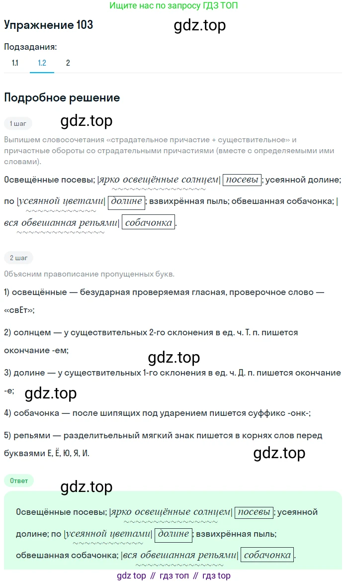 Русский язык, 7 класс Учебник, авторы: Баранов Михаил Трофимович, Ладыженская Таиса Алексеевна, Тростенцова Лидия Александровна, Ладыженская Наталия Вениаминовна, Александрова Ольга Макаровна, Дейкина Алевтина Дмитриевна, Антонова Любовь Геннадиевна, Григорян Лариса Трофимовна, Кулибаба Иван Иванович, издательство Просвещение, Москва, 2023, зелёного цвета, Часть 1, страница 65, номер 103, Решение 2019-2022 (продолжение 2)