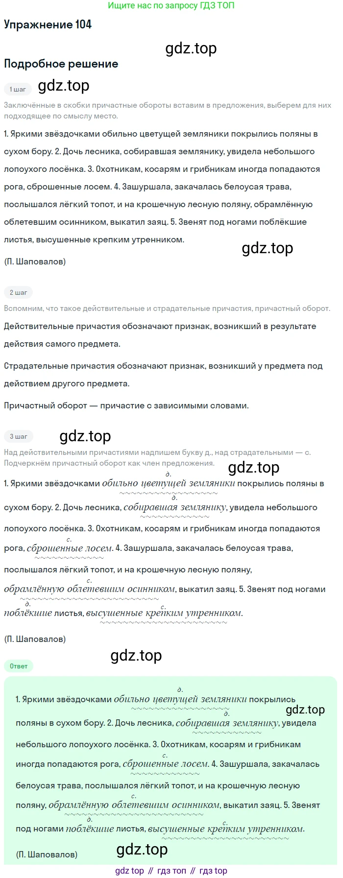 Русский язык, 7 класс Учебник, авторы: Баранов Михаил Трофимович, Ладыженская Таиса Алексеевна, Тростенцова Лидия Александровна, Ладыженская Наталия Вениаминовна, Александрова Ольга Макаровна, Дейкина Алевтина Дмитриевна, Антонова Любовь Геннадиевна, Григорян Лариса Трофимовна, Кулибаба Иван Иванович, издательство Просвещение, Москва, 2023, зелёного цвета, Часть 1, страница 65, номер 104, Решение 2019-2022