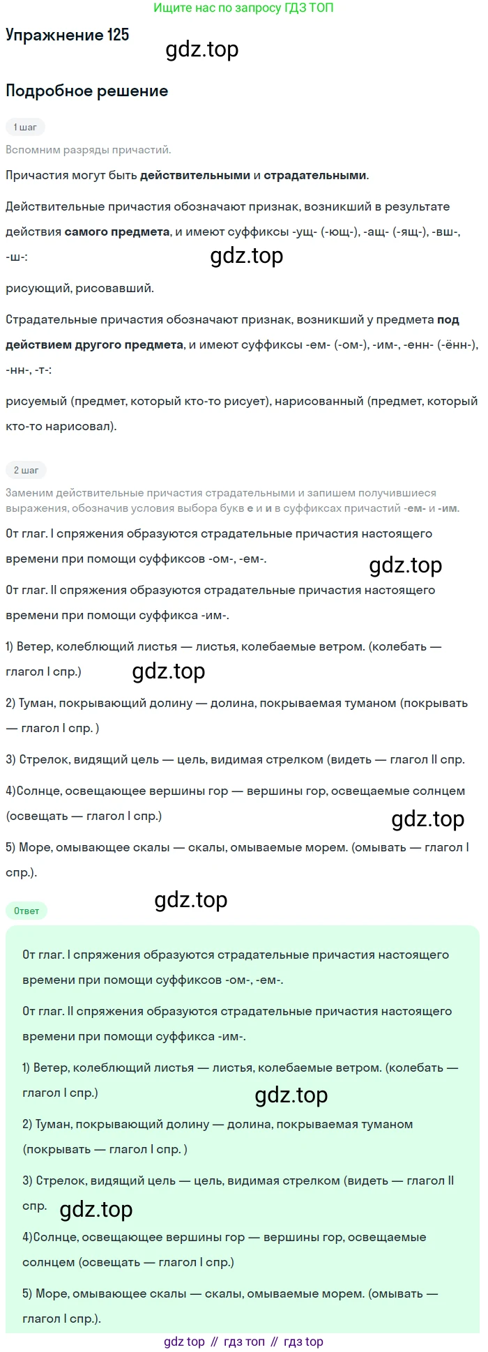 Русский язык, 7 класс Учебник, авторы: Баранов Михаил Трофимович, Ладыженская Таиса Алексеевна, Тростенцова Лидия Александровна, Ладыженская Наталия Вениаминовна, Александрова Ольга Макаровна, Дейкина Алевтина Дмитриевна, Антонова Любовь Геннадиевна, Григорян Лариса Трофимовна, Кулибаба Иван Иванович, издательство Просвещение, Москва, 2023, зелёного цвета, Часть 1, страница 77, номер 125, Решение 2019-2022