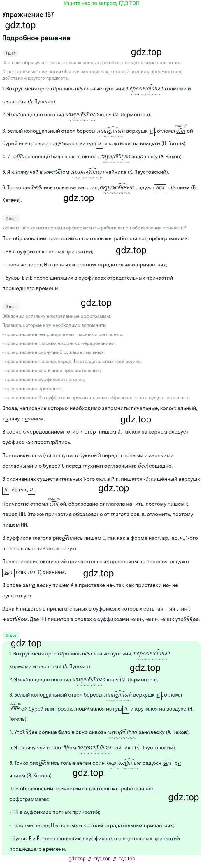 Русский язык, 7 класс Учебник, авторы: Баранов Михаил Трофимович, Ладыженская Таиса Алексеевна, Тростенцова Лидия Александровна, Ладыженская Наталия Вениаминовна, Александрова Ольга Макаровна, Дейкина Алевтина Дмитриевна, Антонова Любовь Геннадиевна, Григорян Лариса Трофимовна, Кулибаба Иван Иванович, издательство Просвещение, Москва, 2023, зелёного цвета, Часть 1, страница 95, номер 167, Решение 2019-2022