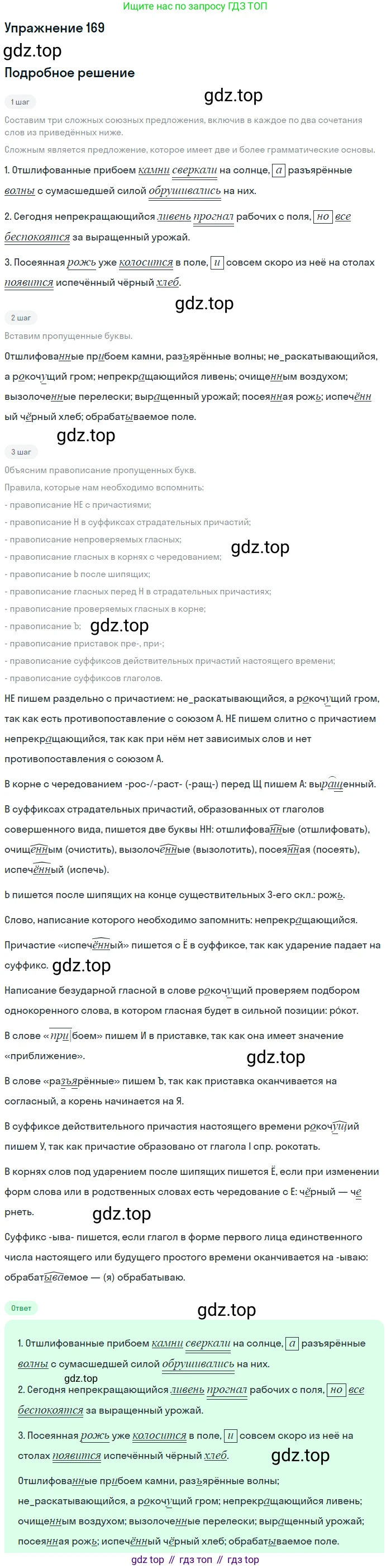 Русский язык, 7 класс Учебник, авторы: Баранов Михаил Трофимович, Ладыженская Таиса Алексеевна, Тростенцова Лидия Александровна, Ладыженская Наталия Вениаминовна, Александрова Ольга Макаровна, Дейкина Алевтина Дмитриевна, Антонова Любовь Геннадиевна, Григорян Лариса Трофимовна, Кулибаба Иван Иванович, издательство Просвещение, Москва, 2023, зелёного цвета, Часть 1, страница 95, номер 169, Решение 2019-2022