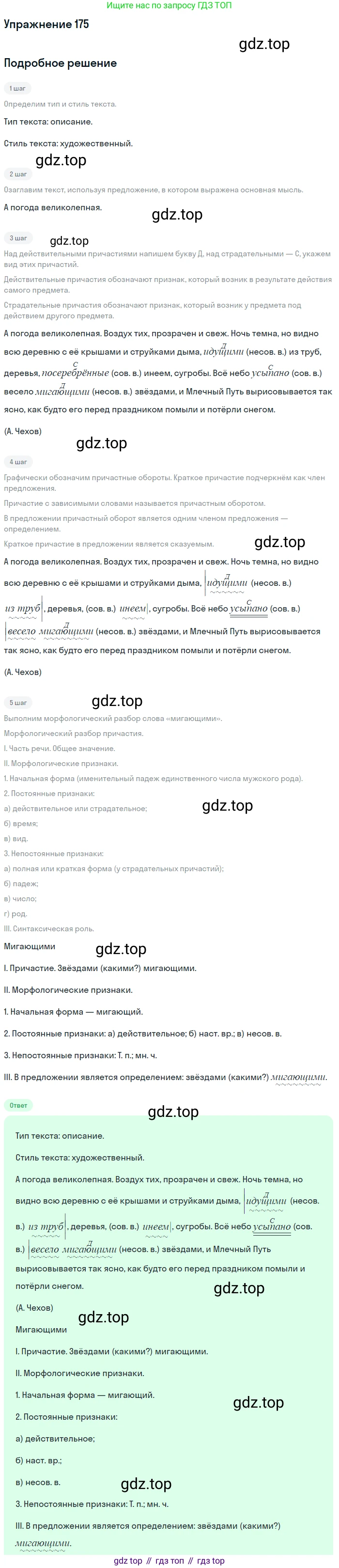 Русский язык, 7 класс Учебник, авторы: Баранов Михаил Трофимович, Ладыженская Таиса Алексеевна, Тростенцова Лидия Александровна, Ладыженская Наталия Вениаминовна, Александрова Ольга Макаровна, Дейкина Алевтина Дмитриевна, Антонова Любовь Геннадиевна, Григорян Лариса Трофимовна, Кулибаба Иван Иванович, издательство Просвещение, Москва, 2023, зелёного цвета, Часть 1, страница 101, номер 175, Решение 2019-2022