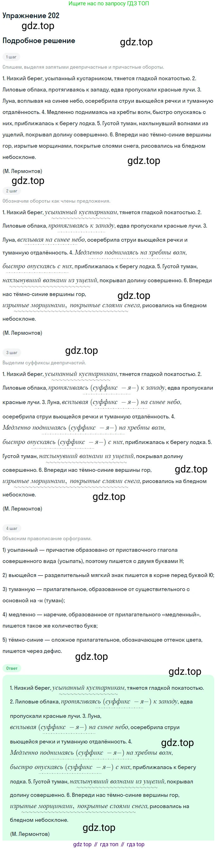Русский язык, 7 класс Учебник, авторы: Баранов Михаил Трофимович, Ладыженская Таиса Алексеевна, Тростенцова Лидия Александровна, Ладыженская Наталия Вениаминовна, Александрова Ольга Макаровна, Дейкина Алевтина Дмитриевна, Антонова Любовь Геннадиевна, Григорян Лариса Трофимовна, Кулибаба Иван Иванович, издательство Просвещение, Москва, 2023, зелёного цвета, Часть 1, страница 117, номер 202, Решение 2019-2022