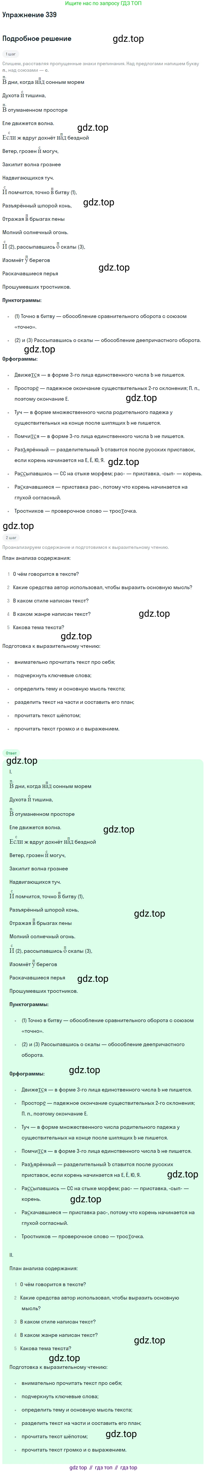 Русский язык, 7 класс Учебник, авторы: Баранов Михаил Трофимович, Ладыженская Таиса Алексеевна, Тростенцова Лидия Александровна, Ладыженская Наталия Вениаминовна, Александрова Ольга Макаровна, Дейкина Алевтина Дмитриевна, Антонова Любовь Геннадиевна, Григорян Лариса Трофимовна, Кулибаба Иван Иванович, издательство Просвещение, Москва, 2023, зелёного цвета, Часть 1, страница 197, номер 339, Решение 2019-2022
