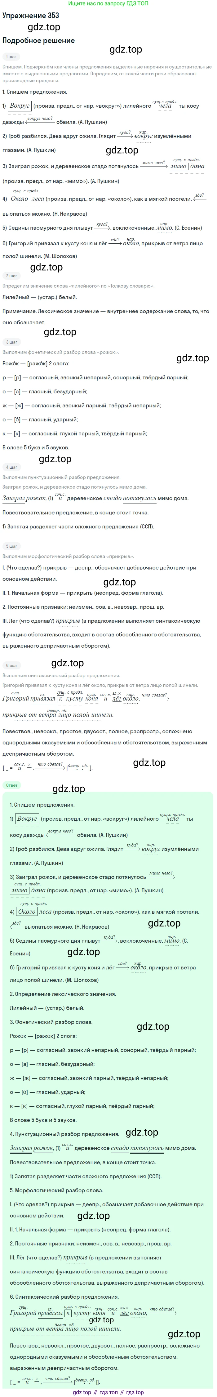 Русский язык, 7 класс Учебник, авторы: Баранов Михаил Трофимович, Ладыженская Таиса Алексеевна, Тростенцова Лидия Александровна, Ладыженская Наталия Вениаминовна, Александрова Ольга Макаровна, Дейкина Алевтина Дмитриевна, Антонова Любовь Геннадиевна, Григорян Лариса Трофимовна, Кулибаба Иван Иванович, издательство Просвещение, Москва, 2023, зелёного цвета, Часть 1, страница 204, номер 353, Решение 2019-2022