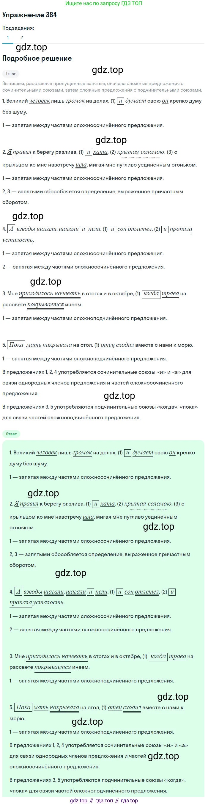 Русский язык, 7 класс Учебник, авторы: Баранов Михаил Трофимович, Ладыженская Таиса Алексеевна, Тростенцова Лидия Александровна, Ладыженская Наталия Вениаминовна, Александрова Ольга Макаровна, Дейкина Алевтина Дмитриевна, Антонова Любовь Геннадиевна, Григорян Лариса Трофимовна, Кулибаба Иван Иванович, издательство Просвещение, Москва, 2023, зелёного цвета, Часть 1, страница 217, номер 384, Решение 2019-2022