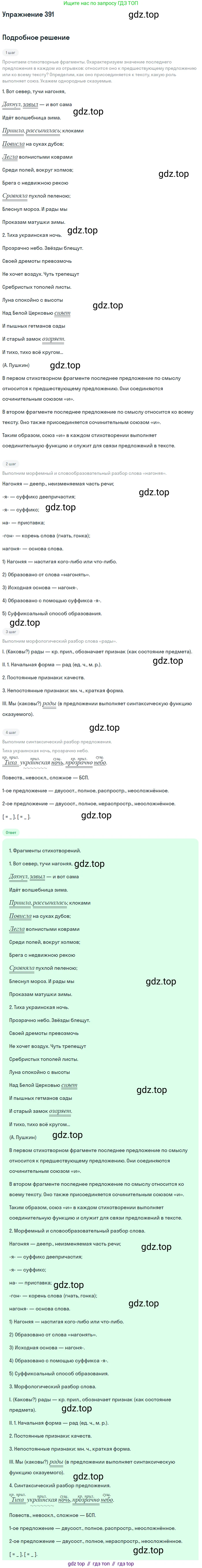 Русский язык, 7 класс Учебник, авторы: Баранов Михаил Трофимович, Ладыженская Таиса Алексеевна, Тростенцова Лидия Александровна, Ладыженская Наталия Вениаминовна, Александрова Ольга Макаровна, Дейкина Алевтина Дмитриевна, Антонова Любовь Геннадиевна, Григорян Лариса Трофимовна, Кулибаба Иван Иванович, издательство Просвещение, Москва, 2023, зелёного цвета, Часть 2, страница 4, номер 391, Решение 2019-2022