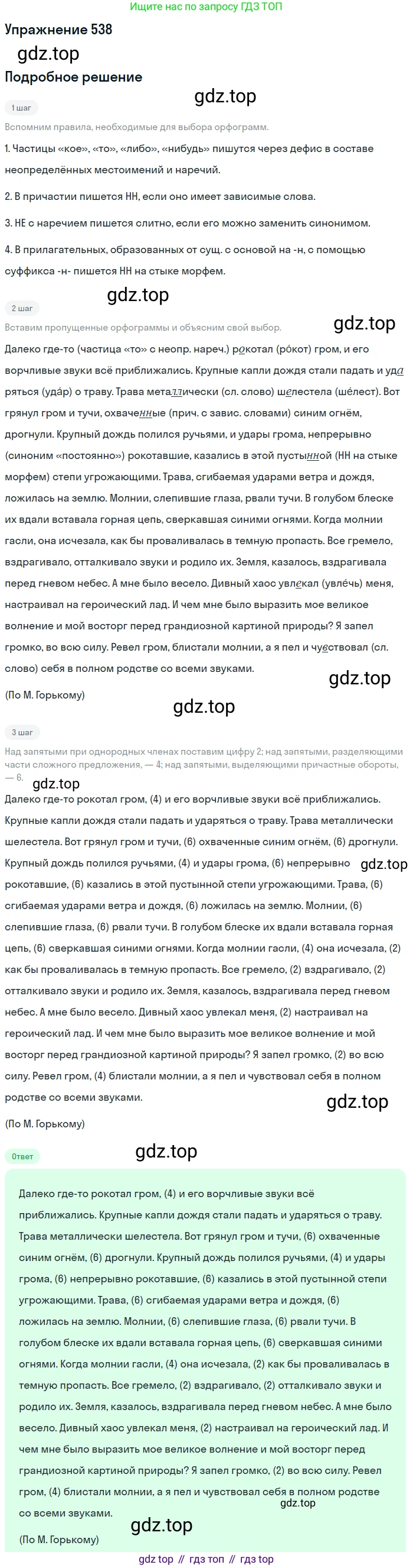 Русский язык, 7 класс Учебник, авторы: Баранов Михаил Трофимович, Ладыженская Таиса Алексеевна, Тростенцова Лидия Александровна, Ладыженская Наталия Вениаминовна, Александрова Ольга Макаровна, Дейкина Алевтина Дмитриевна, Антонова Любовь Геннадиевна, Григорян Лариса Трофимовна, Кулибаба Иван Иванович, издательство Просвещение, Москва, 2023, зелёного цвета, Часть 2, страница 96, номер 538, Решение 2019-2022
