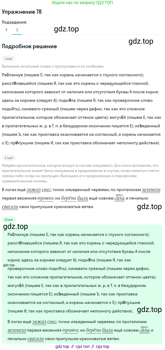 Русский язык, 7 класс Учебник, авторы: Баранов Михаил Трофимович, Ладыженская Таиса Алексеевна, Тростенцова Лидия Александровна, Ладыженская Наталия Вениаминовна, Александрова Ольга Макаровна, Дейкина Алевтина Дмитриевна, Антонова Любовь Геннадиевна, Григорян Лариса Трофимовна, Кулибаба Иван Иванович, издательство Просвещение, Москва, 2023, зелёного цвета, Часть 1, страница 45, номер 78, Решение 2019-2022 (продолжение 2)