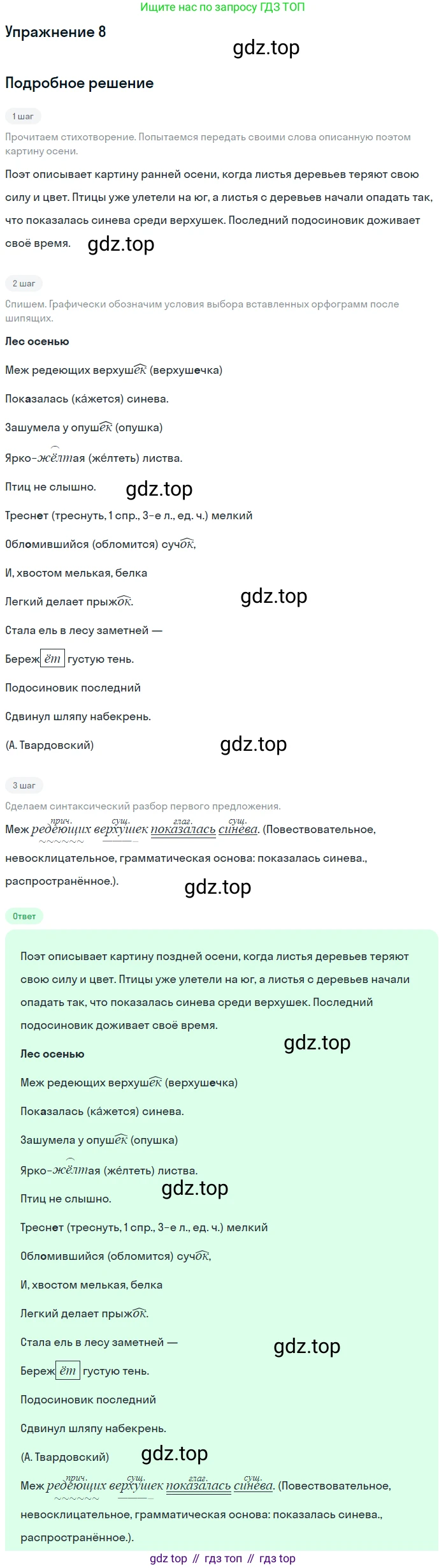 Русский язык, 7 класс Учебник, авторы: Баранов Михаил Трофимович, Ладыженская Таиса Алексеевна, Тростенцова Лидия Александровна, Ладыженская Наталия Вениаминовна, Александрова Ольга Макаровна, Дейкина Алевтина Дмитриевна, Антонова Любовь Геннадиевна, Григорян Лариса Трофимовна, Кулибаба Иван Иванович, издательство Просвещение, Москва, 2023, зелёного цвета, Часть 1, страница 8, номер 8, Решение 2019-2022