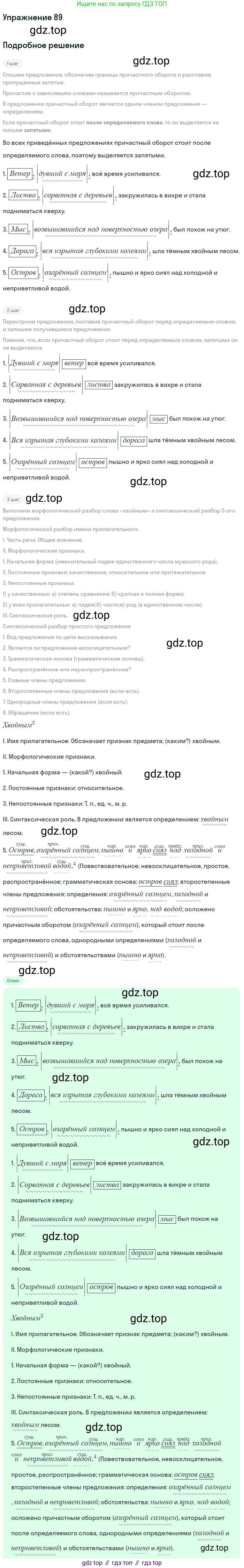 Русский язык, 7 класс Учебник, авторы: Баранов Михаил Трофимович, Ладыженская Таиса Алексеевна, Тростенцова Лидия Александровна, Ладыженская Наталия Вениаминовна, Александрова Ольга Макаровна, Дейкина Алевтина Дмитриевна, Антонова Любовь Геннадиевна, Григорян Лариса Трофимовна, Кулибаба Иван Иванович, издательство Просвещение, Москва, 2023, зелёного цвета, Часть 1, страница 53, номер 89, Решение 2019-2022