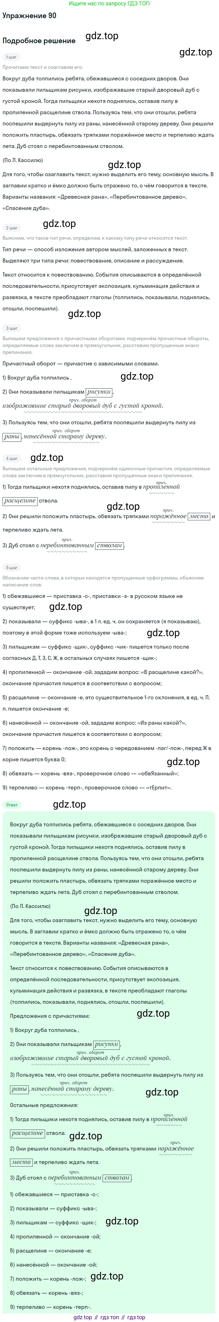 Русский язык, 7 класс Учебник, авторы: Баранов Михаил Трофимович, Ладыженская Таиса Алексеевна, Тростенцова Лидия Александровна, Ладыженская Наталия Вениаминовна, Александрова Ольга Макаровна, Дейкина Алевтина Дмитриевна, Антонова Любовь Геннадиевна, Григорян Лариса Трофимовна, Кулибаба Иван Иванович, издательство Просвещение, Москва, 2023, зелёного цвета, Часть 1, страница 53, номер 90, Решение 2019-2022
