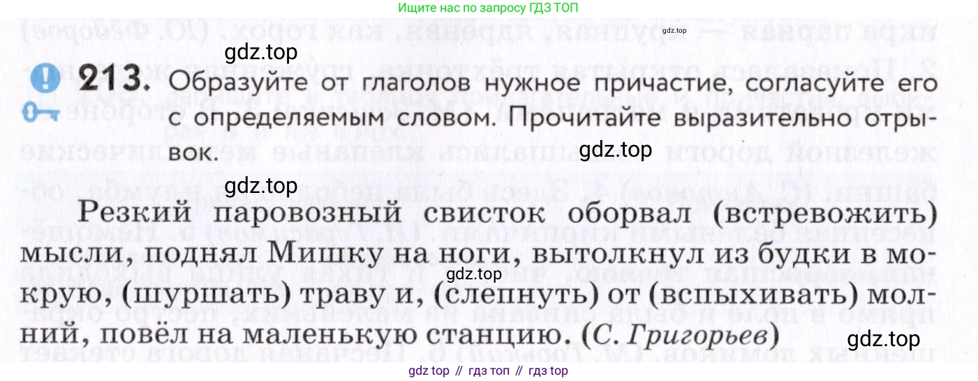 Русский язык, 7 класс Учебник, авторы: Пименова Светлана Николаевна, Еремеева Ангелина Павловна, Купалова Александра Юльевна, Лидман-Орлова Галина Кузьминична, Молодцова Светлана Николаевна, Пичугов Юрий Степанович, издательство Просвещение, Москва, 2021, белого цвета, страница 80, номер 213, Условие