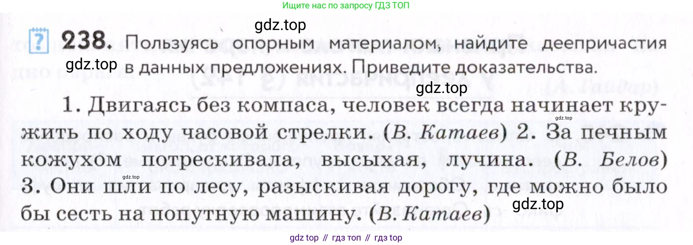 Русский язык, 7 класс Учебник, авторы: Пименова Светлана Николаевна, Еремеева Ангелина Павловна, Купалова Александра Юльевна, Лидман-Орлова Галина Кузьминична, Молодцова Светлана Николаевна, Пичугов Юрий Степанович, издательство Просвещение, Москва, 2021, белого цвета, страница 91, номер 238, Условие