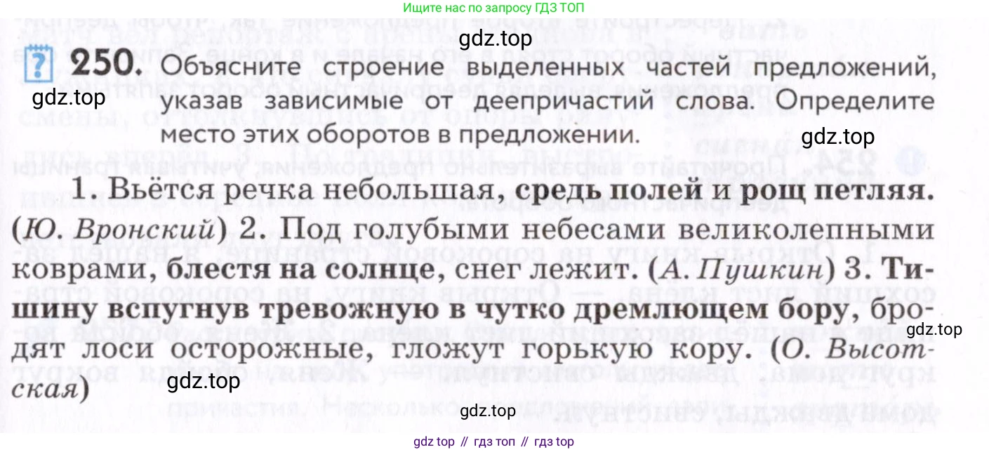 Русский язык, 7 класс Учебник, авторы: Пименова Светлана Николаевна, Еремеева Ангелина Павловна, Купалова Александра Юльевна, Лидман-Орлова Галина Кузьминична, Молодцова Светлана Николаевна, Пичугов Юрий Степанович, издательство Просвещение, Москва, 2021, белого цвета, страница 95, номер 250, Условие