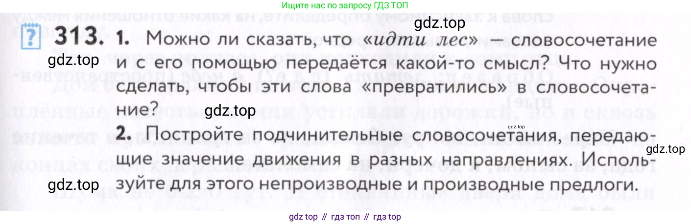 Русский язык, 7 класс Учебник, авторы: Пименова Светлана Николаевна, Еремеева Ангелина Павловна, Купалова Александра Юльевна, Лидман-Орлова Галина Кузьминична, Молодцова Светлана Николаевна, Пичугов Юрий Степанович, издательство Просвещение, Москва, 2021, белого цвета, страница 119, номер 313, Условие