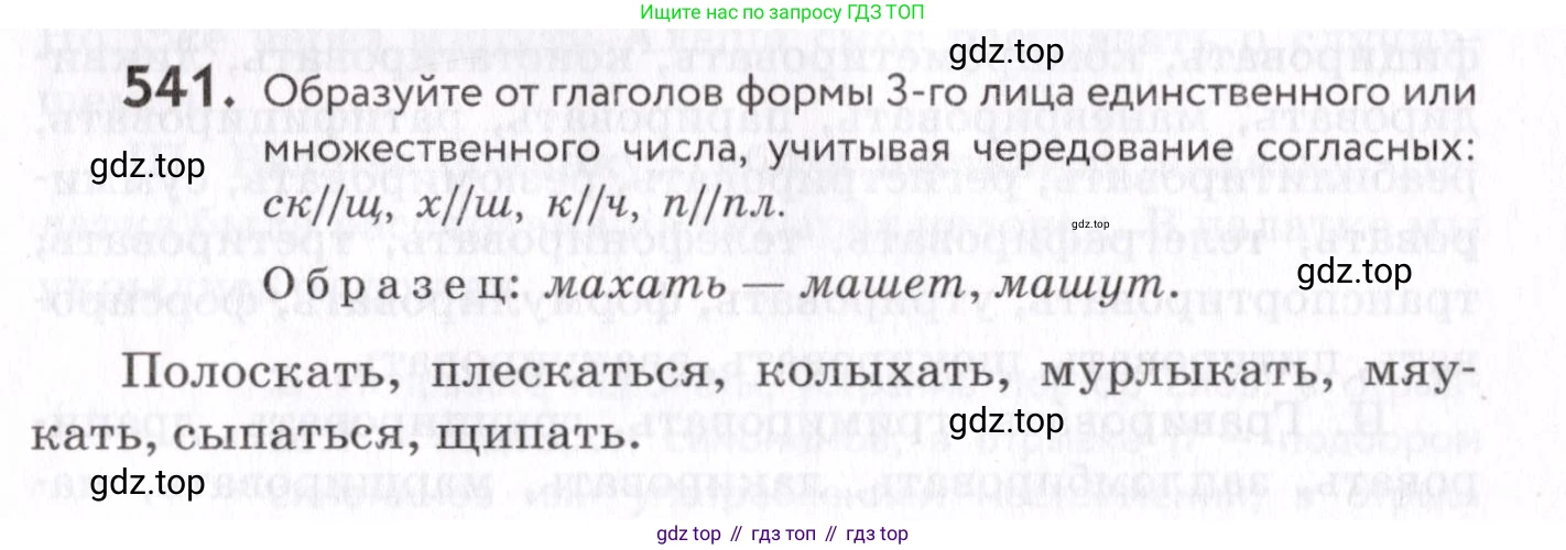 Русский язык, 7 класс Учебник, авторы: Пименова Светлана Николаевна, Еремеева Ангелина Павловна, Купалова Александра Юльевна, Лидман-Орлова Галина Кузьминична, Молодцова Светлана Николаевна, Пичугов Юрий Степанович, издательство Просвещение, Москва, 2021, белого цвета, страница 205, номер 541, Условие
