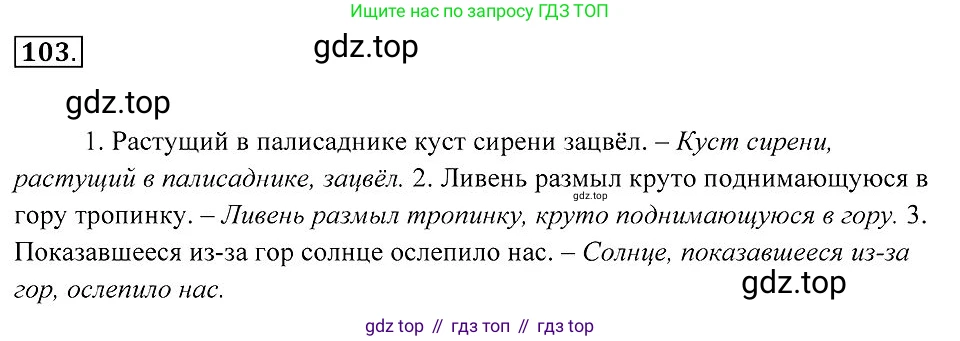 Русский язык, 7 класс Учебник, авторы: Пименова Светлана Николаевна, Еремеева Ангелина Павловна, Купалова Александра Юльевна, Лидман-Орлова Галина Кузьминична, Молодцова Светлана Николаевна, Пичугов Юрий Степанович, издательство Просвещение, Москва, 2021, белого цвета, страница 41, номер 103, Решение 2