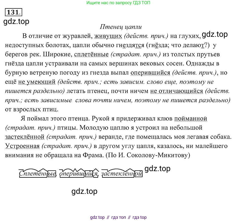 Русский язык, 7 класс Учебник, авторы: Пименова Светлана Николаевна, Еремеева Ангелина Павловна, Купалова Александра Юльевна, Лидман-Орлова Галина Кузьминична, Молодцова Светлана Николаевна, Пичугов Юрий Степанович, издательство Просвещение, Москва, 2021, белого цвета, страница 53, номер 131, Решение 2