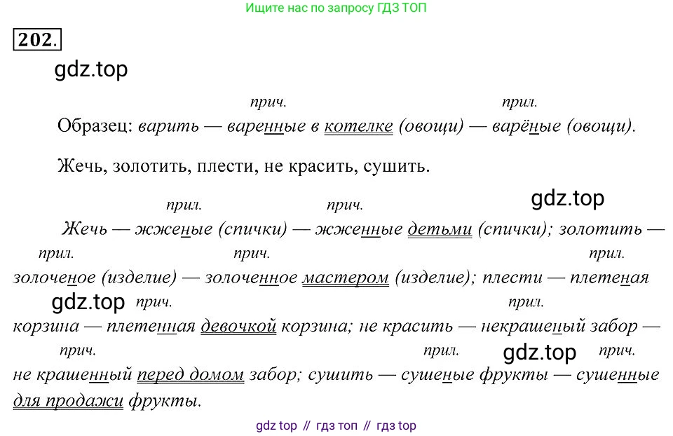 Русский язык, 7 класс Учебник, авторы: Пименова Светлана Николаевна, Еремеева Ангелина Павловна, Купалова Александра Юльевна, Лидман-Орлова Галина Кузьминична, Молодцова Светлана Николаевна, Пичугов Юрий Степанович, издательство Просвещение, Москва, 2021, белого цвета, страница 76, номер 202, Решение 2