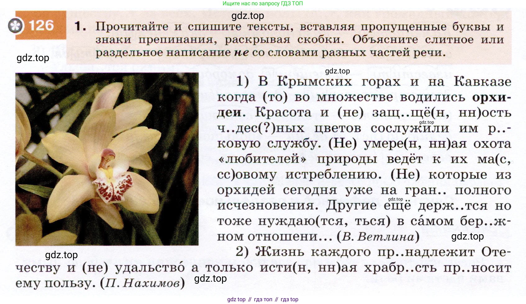 ГДЗ Русский язык, 7 класс Учебник, авторы: Разумовская Маргарита Михайловна, Львова Светлана Ивановна, Капинос Валентина Ивановна, Львов Валентин Витальевич, Сергеева Наталья Николаевна, Соловейчик Марина Сергеевна, издательство Просвещение, Москва, 2021, белого цвета, страница 46, номер 126, Условие