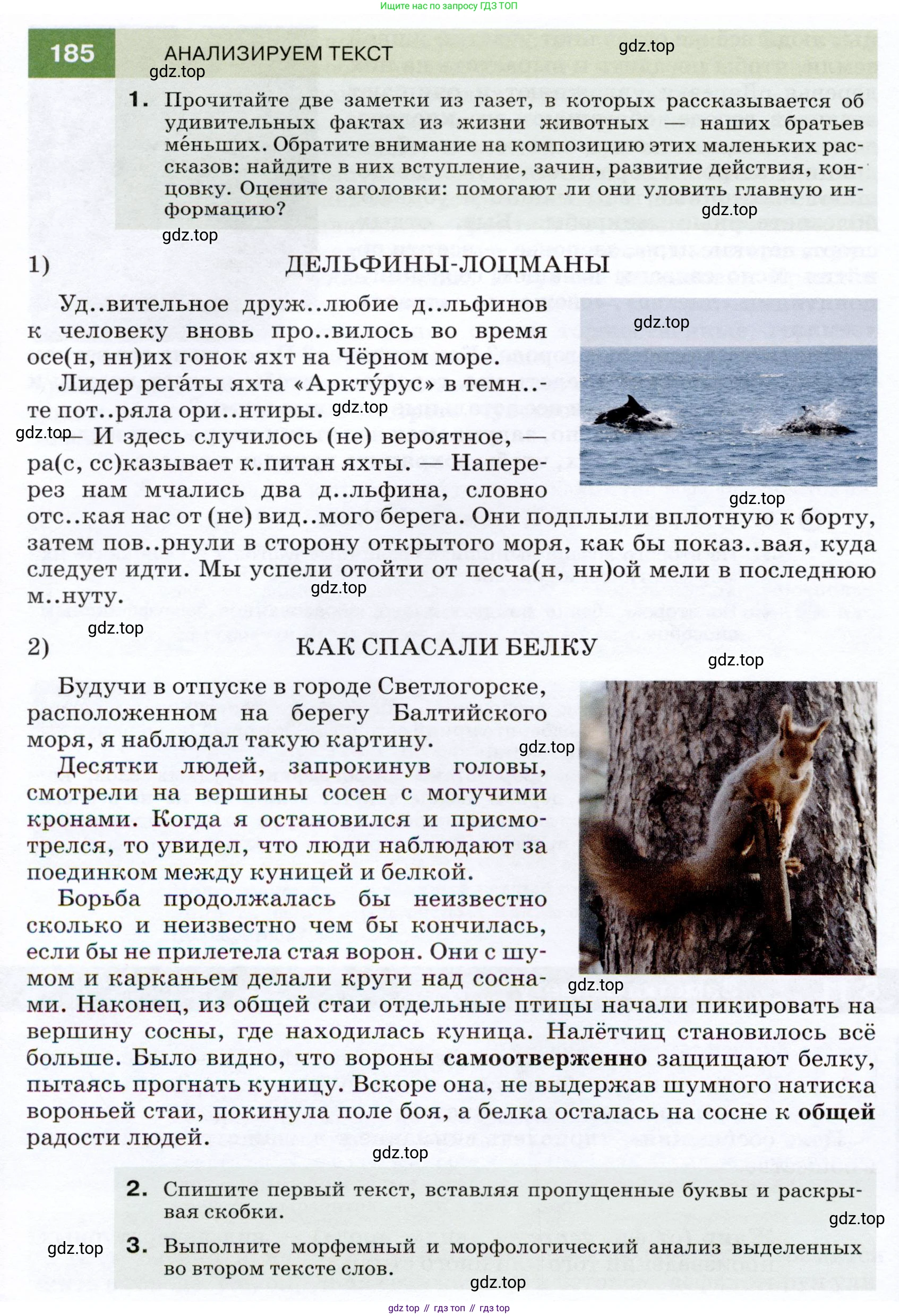 ГДЗ Русский язык, 7 класс Учебник, авторы: Разумовская Маргарита Михайловна, Львова Светлана Ивановна, Капинос Валентина Ивановна, Львов Валентин Витальевич, Сергеева Наталья Николаевна, Соловейчик Марина Сергеевна, издательство Просвещение, Москва, 2021, белого цвета, страница 66, номер 185, Условие