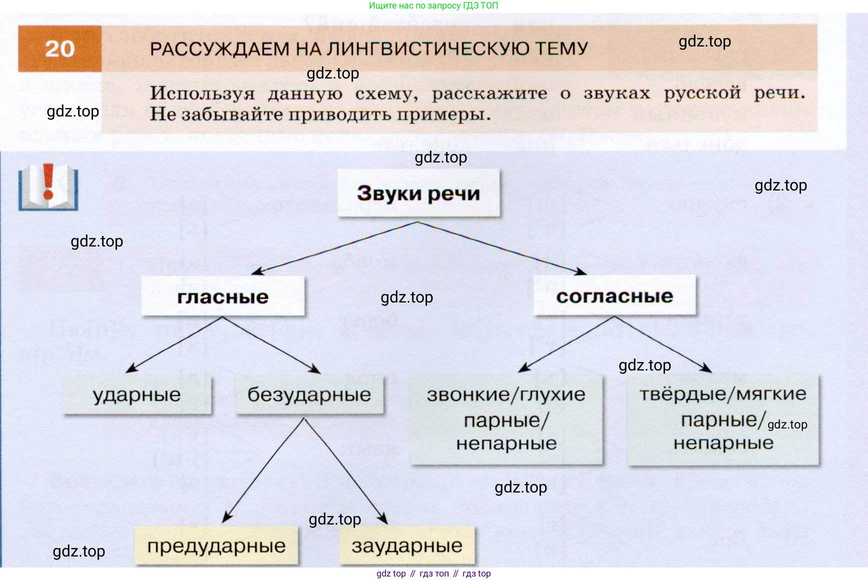 ГДЗ Русский язык, 7 класс Учебник, авторы: Разумовская Маргарита Михайловна, Львова Светлана Ивановна, Капинос Валентина Ивановна, Львов Валентин Витальевич, Сергеева Наталья Николаевна, Соловейчик Марина Сергеевна, издательство Просвещение, Москва, 2021, белого цвета, страница 13, номер 20, Условие