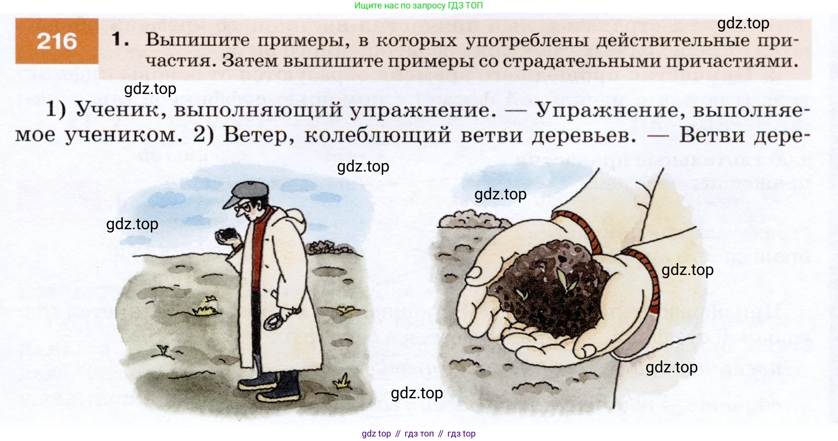 ГДЗ Русский язык, 7 класс Учебник, авторы: Разумовская Маргарита Михайловна, Львова Светлана Ивановна, Капинос Валентина Ивановна, Львов Валентин Витальевич, Сергеева Наталья Николаевна, Соловейчик Марина Сергеевна, издательство Просвещение, Москва, 2021, белого цвета, страница 79, номер 216, Условие