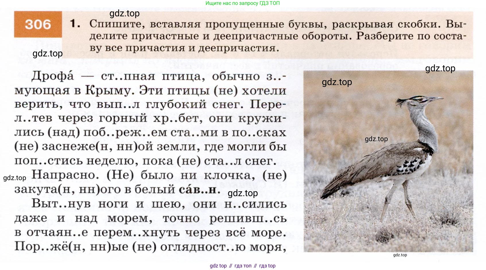 ГДЗ Русский язык, 7 класс Учебник, авторы: Разумовская Маргарита Михайловна, Львова Светлана Ивановна, Капинос Валентина Ивановна, Львов Валентин Витальевич, Сергеева Наталья Николаевна, Соловейчик Марина Сергеевна, издательство Просвещение, Москва, 2021, белого цвета, страница 115, номер 306, Условие