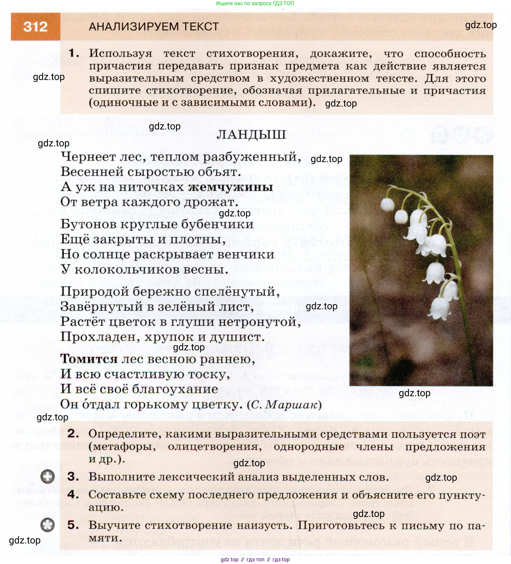 ГДЗ Русский язык, 7 класс Учебник, авторы: Разумовская Маргарита Михайловна, Львова Светлана Ивановна, Капинос Валентина Ивановна, Львов Валентин Витальевич, Сергеева Наталья Николаевна, Соловейчик Марина Сергеевна, издательство Просвещение, Москва, 2021, белого цвета, страница 118, номер 312, Условие