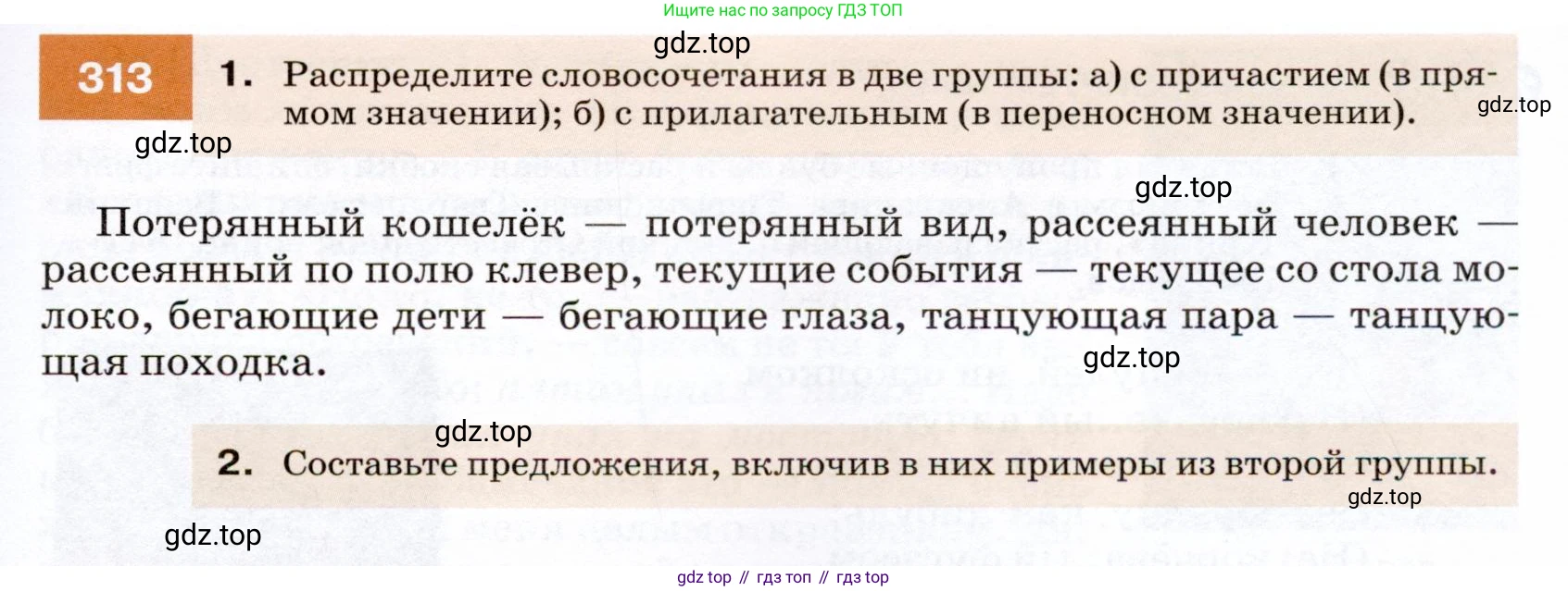 ГДЗ Русский язык, 7 класс Учебник, авторы: Разумовская Маргарита Михайловна, Львова Светлана Ивановна, Капинос Валентина Ивановна, Львов Валентин Витальевич, Сергеева Наталья Николаевна, Соловейчик Марина Сергеевна, издательство Просвещение, Москва, 2021, белого цвета, страница 119, номер 313, Условие