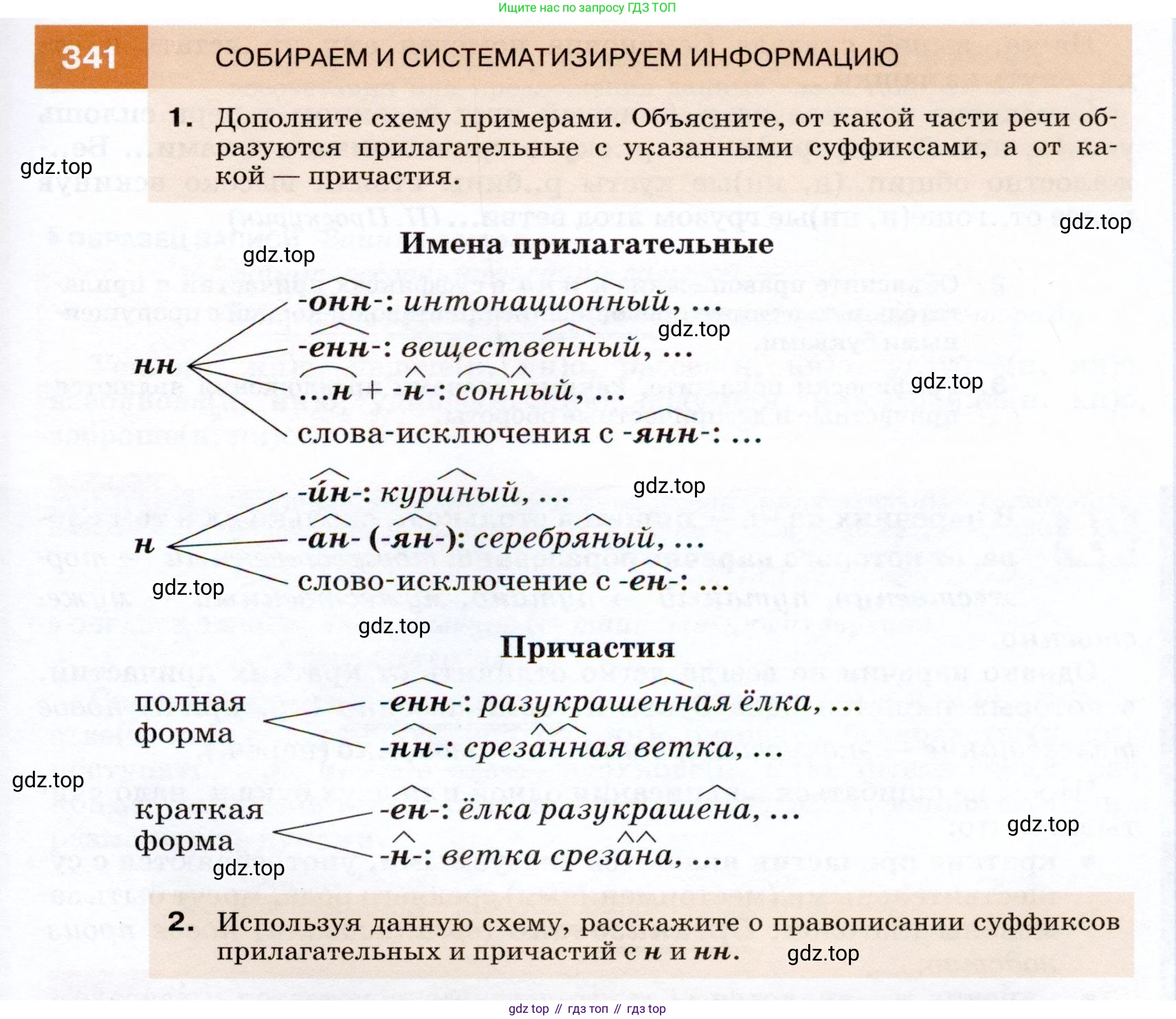 ГДЗ Русский язык, 7 класс Учебник, авторы: Разумовская Маргарита Михайловна, Львова Светлана Ивановна, Капинос Валентина Ивановна, Львов Валентин Витальевич, Сергеева Наталья Николаевна, Соловейчик Марина Сергеевна, издательство Просвещение, Москва, 2021, белого цвета, страница 129, номер 341, Условие