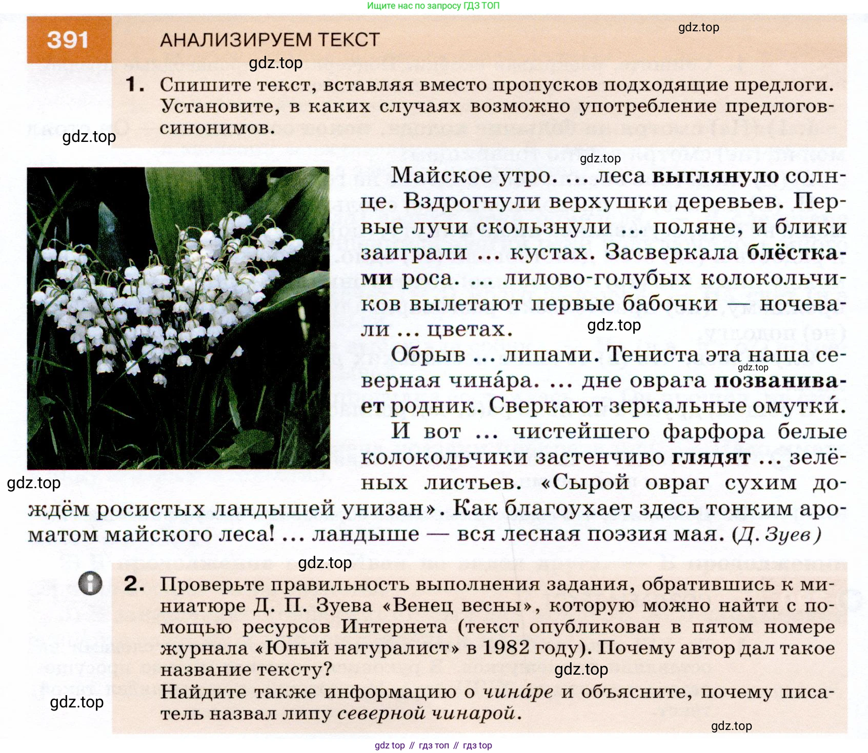 ГДЗ Русский язык, 7 класс Учебник, авторы: Разумовская Маргарита Михайловна, Львова Светлана Ивановна, Капинос Валентина Ивановна, Львов Валентин Витальевич, Сергеева Наталья Николаевна, Соловейчик Марина Сергеевна, издательство Просвещение, Москва, 2021, белого цвета, страница 148, номер 391, Условие