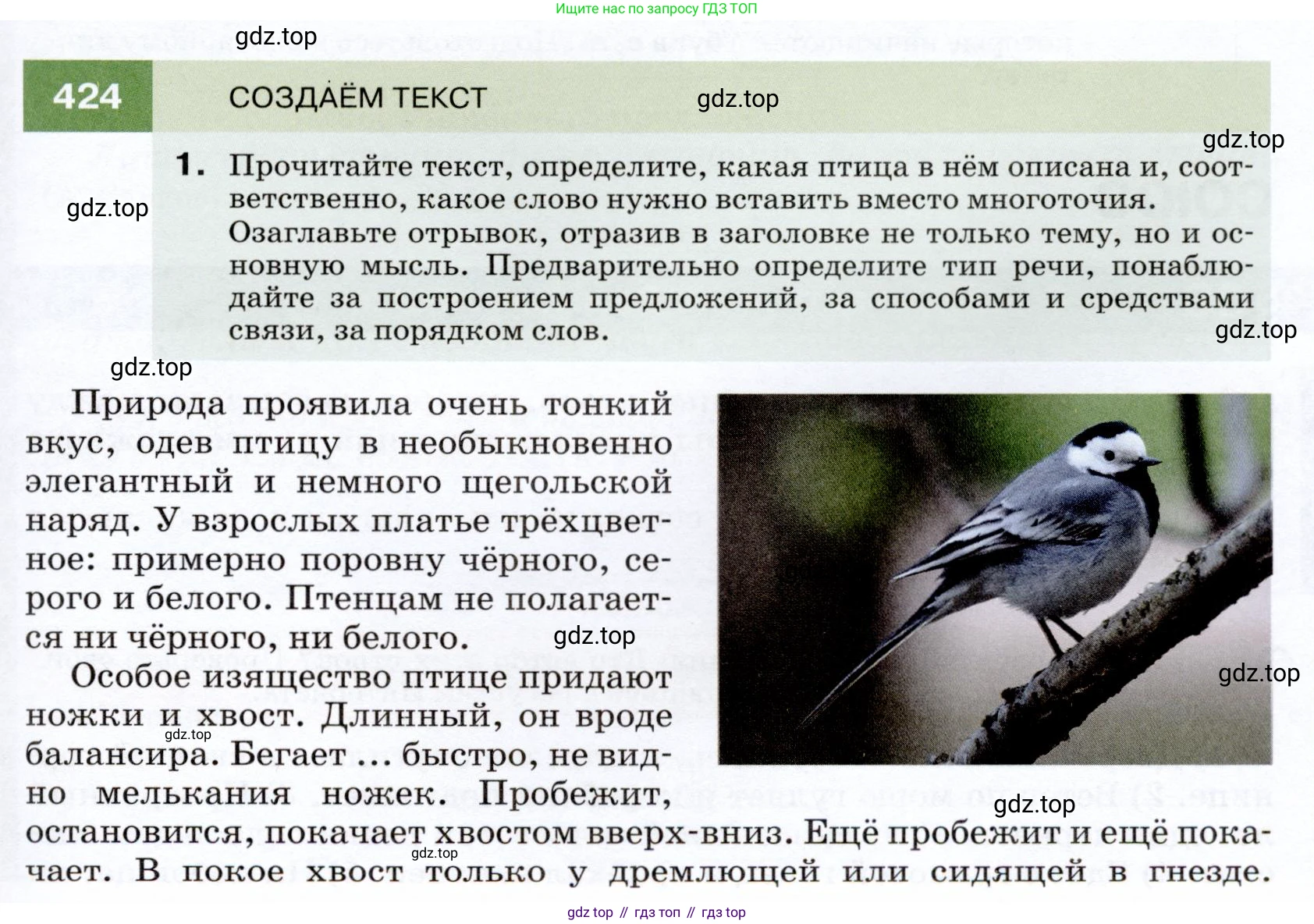 ГДЗ Русский язык, 7 класс Учебник, авторы: Разумовская Маргарита Михайловна, Львова Светлана Ивановна, Капинос Валентина Ивановна, Львов Валентин Витальевич, Сергеева Наталья Николаевна, Соловейчик Марина Сергеевна, издательство Просвещение, Москва, 2021, белого цвета, страница 161, номер 424, Условие