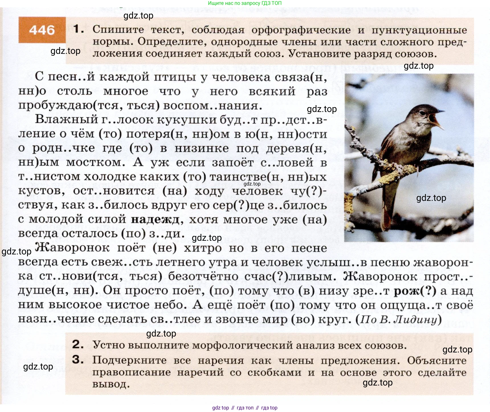 ГДЗ Русский язык, 7 класс Учебник, авторы: Разумовская Маргарита Михайловна, Львова Светлана Ивановна, Капинос Валентина Ивановна, Львов Валентин Витальевич, Сергеева Наталья Николаевна, Соловейчик Марина Сергеевна, издательство Просвещение, Москва, 2021, белого цвета, страница 169, номер 446, Условие