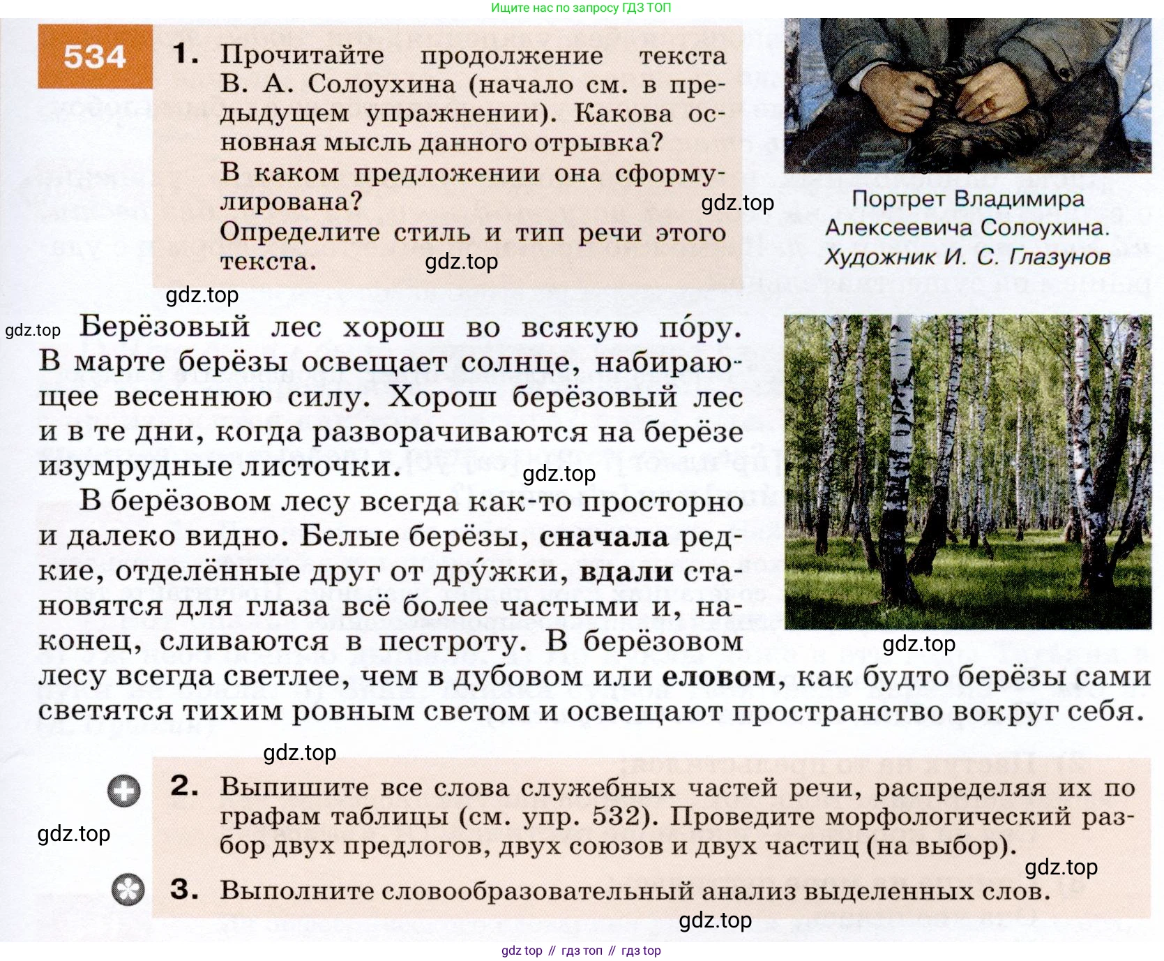 ГДЗ Русский язык, 7 класс Учебник, авторы: Разумовская Маргарита Михайловна, Львова Светлана Ивановна, Капинос Валентина Ивановна, Львов Валентин Витальевич, Сергеева Наталья Николаевна, Соловейчик Марина Сергеевна, издательство Просвещение, Москва, 2021, белого цвета, страница 205, номер 534, Условие