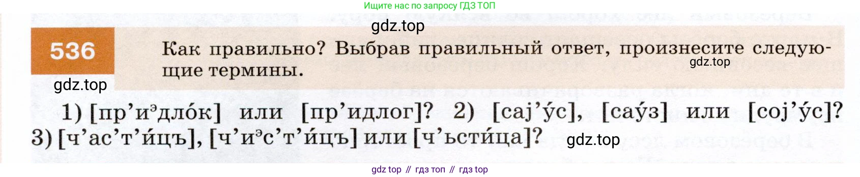 ГДЗ Русский язык, 7 класс Учебник, авторы: Разумовская Маргарита Михайловна, Львова Светлана Ивановна, Капинос Валентина Ивановна, Львов Валентин Витальевич, Сергеева Наталья Николаевна, Соловейчик Марина Сергеевна, издательство Просвещение, Москва, 2021, белого цвета, страница 206, номер 536, Условие
